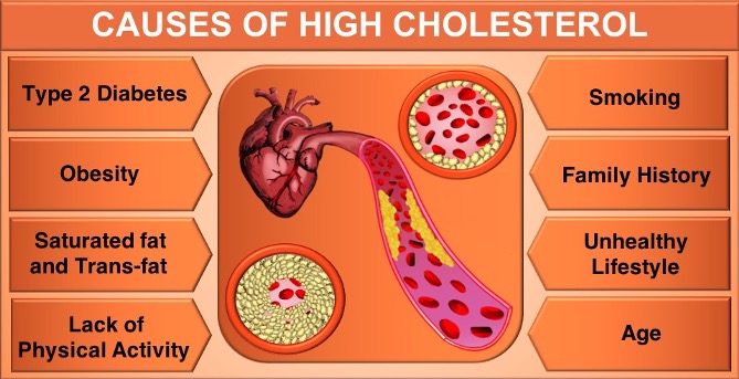 Causes of high Cholesterol